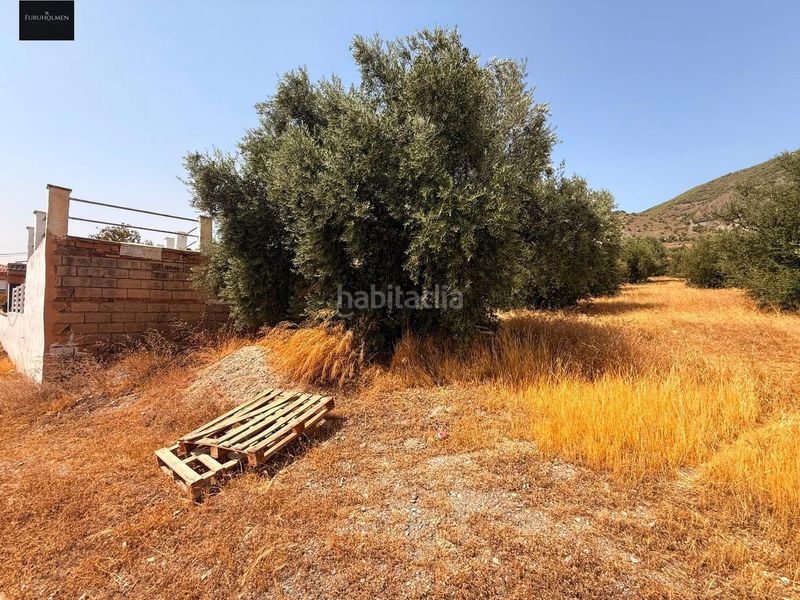 Foto 628be39d-6784-4b91-8ac2-916a1939ec85. Terreny residencial a Padul