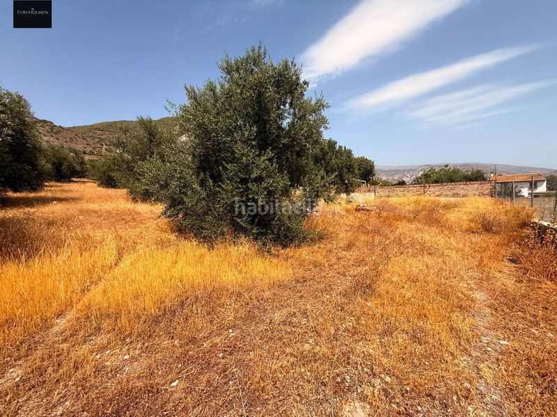 Foto bc9c9973-95af-4b28-b5b0-b5542049e446. Terreny residencial a Padul