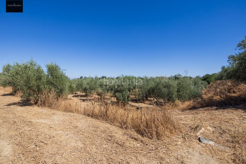 Foto c81555d8-e2f4-4118-a443-b038fb388647. Finca rústica a Villa de Otura