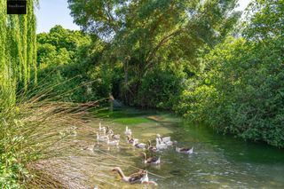 Casa  Calle nacimiento (rf). Sueñas con vivir en plena naturaleza, rodeado de tranquilidad y