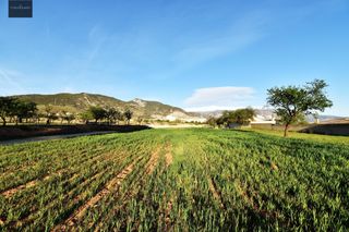 Finca rústica a Padul