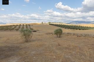 Finca rústica a Polígono polígono 6 parcela 17 cañada esparragal. villa d 6. Terreno rústico de 28.397m2 en otura