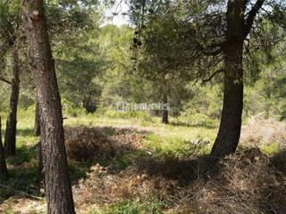 Terreny residencial a Carrer del llobregat 15. Terreno plano de 1200m2