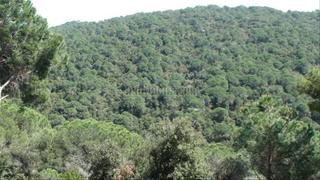 Terrain résidentiel à Carrer de la pedra 49. Vistes privilegiades al parc natural