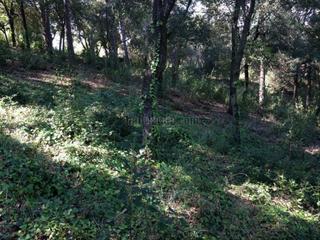 Terreno residencial en Carrer sot de la carda 5. Excelente terreno con vistas en zona muy tranquila