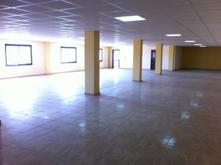 Rent Office space in Camí la flora-fou 14. Oficines a estrenar en edifici d´oficines.