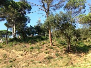 Terreny residencial a Carrer muntanya 739b. Estupendo terrerno en urb. les ferreres en tordera