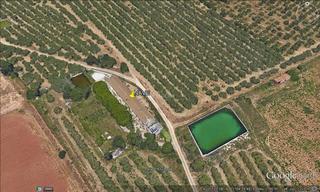Finca rústica a Tv-3142 37. Finca rustica en venta