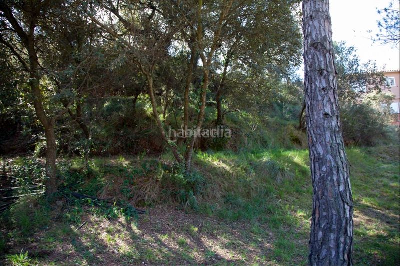 Foto 1beaa007-a913-4c55-ab39-afe7adab30e4. Terreny residencial a carrer calvari 11 a Vacarisses