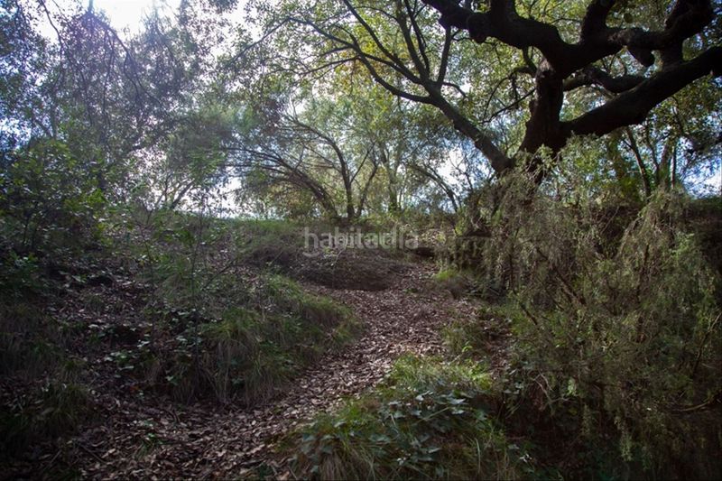 Foto 1c657213-a7d0-4300-b44f-259ca3a3234b. Terreny residencial a carrer calvari 11 a Vacarisses