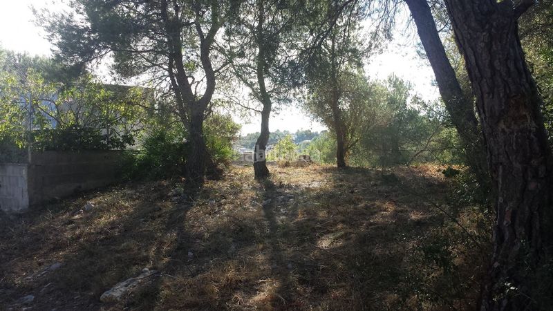 Foto c2afbe4f-fba8-4337-9c22-3c76f95c65d9. Terreny residencial a carrer violeta 32 a costa Cunit - els jardins - els rosers Cunit