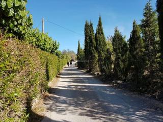 Rural plot in Carrer major 32. Venta de finca en amposta y masdenverge