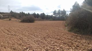 Rural plot in Partida conteies,. Finca rústica tarrés en lloc tranquil