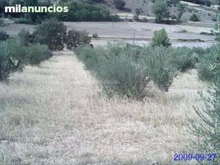 Propriété à Carretera sacedón cifuentes 4a. Finca rustica