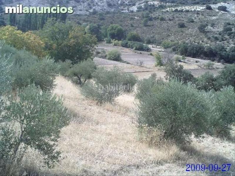 Foto cc61dba2-d3b5-4b6e-8421-f6ac53f45e9c. Fondo rustico in carretera Sacedón cifuentes 4a in Sacedón