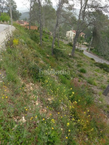 Foto 3005e847-3623-429b-913b-fe1f26e67848. Residential plot in carrer del condor 2 in Olivella