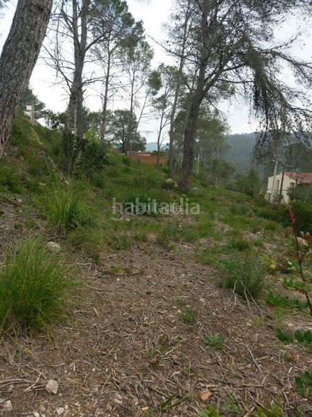 Foto 35f3b40f-fb0d-4e13-9b7e-62e88333dff0. Residential plot in carrer del condor 2 in Olivella