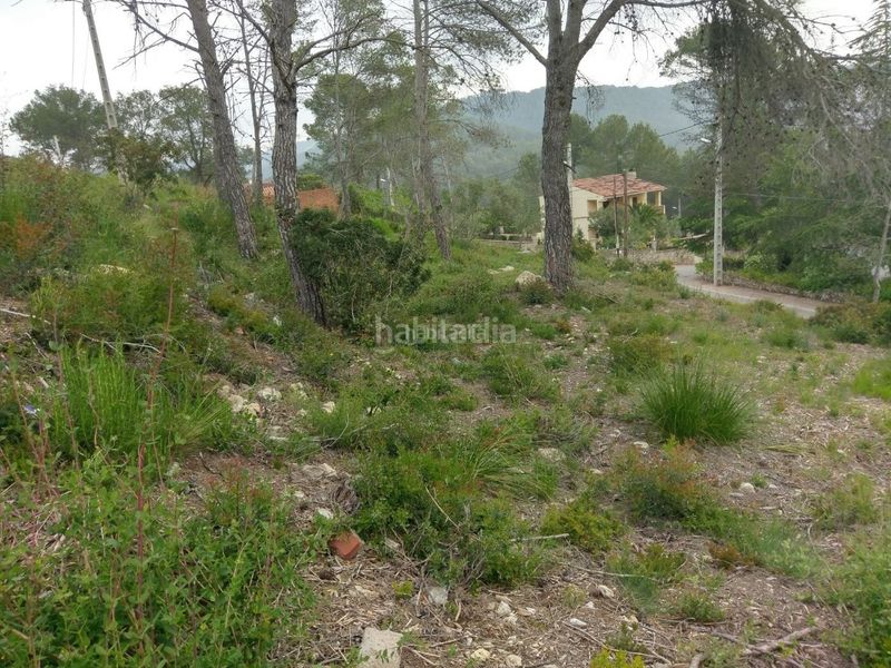 Foto 88389c67-beed-4266-a97e-f0adcccdc70b. Residential plot in carrer del condor 2 in Olivella