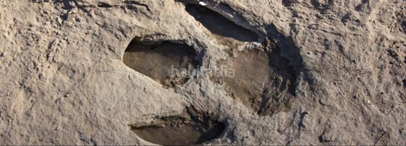 Foto a3be7e93-26b8-409c-8f15-535ad25305de. Terreno residenziale in c-13 15 in Pobla de Segur (La)