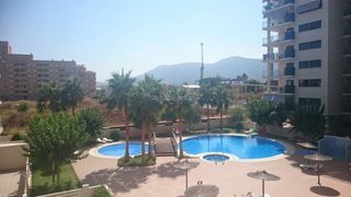 Location Appartement à Avenida central 20. Precioso