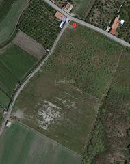 Finca rústica a Calle barrio negro a 13. Terreno en venta en urbanización sue-te, 164
