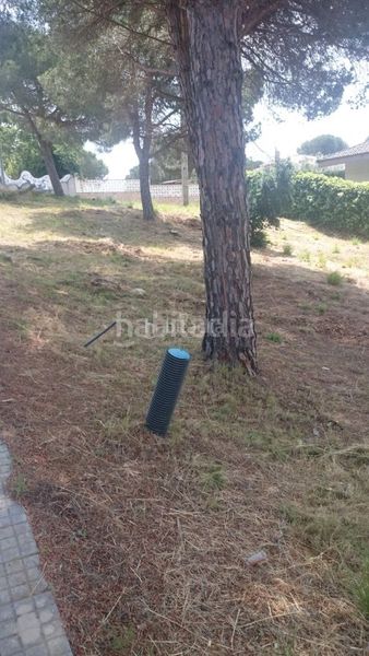 Foto 64a6fb5d-9396-4e54-bc98-06769d589def. Terreny residencial a carretera tordera 9 a Mas Florit-Ca la Guidó Blanes