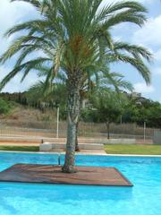 Lloguer Apartament a Carrer el rall 12. Apartamento en torre bellver