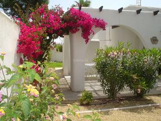 Lloguer Casa aparellada a Calle los pinos 18. Precioso chalet estilo ibicenco