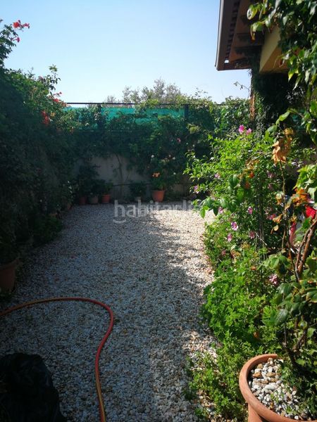 Foto f0fa155b-8029-4f27-a5ac-f3c7b2430a24. Flat in calle de martín lasso 26 in Oropesa