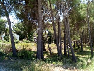Residential Plot in Carrer sabadell 40. Fantástico terreno mas de plata (cabra del camp)