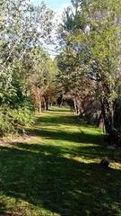 Terreny residencial a Paseo pilarito 1. Finca rustica que es un paraiso
