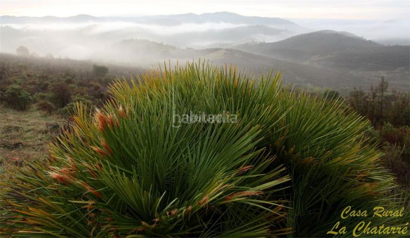 Foto b730bbd5-3bbc-443a-83c0-23d06a48f687. Haus in paraje pinar de hierro 2 in Calañas