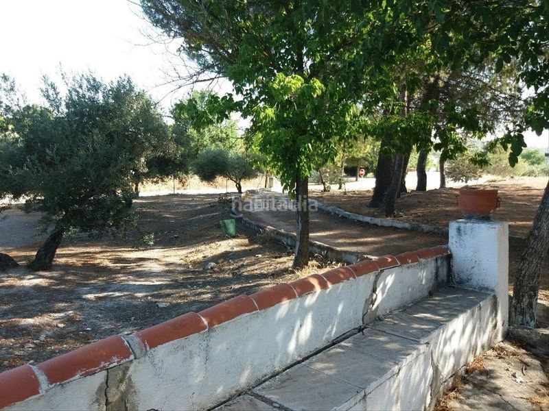 Foto b99477bf-0ed1-418f-be21-a0404144b234. Terreny residencial a avenida aceituneros 7 a Martos