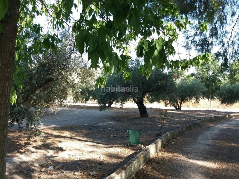 Foto bcbd3161-7ca0-40ca-b537-3cd18f8f8b1c. Terreny residencial a avenida aceituneros 7 a Martos