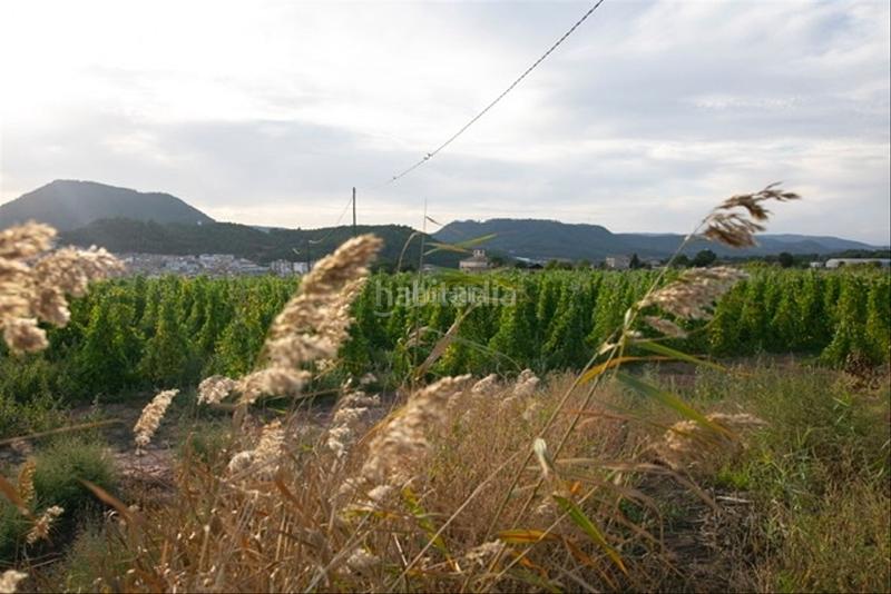 Foto 019ce534-adbe-48a8-8b3a-d3dafdc77945. Casa en c-37z km. 95 , finca rústica en Barri Mion - Puigberenguer Manresa