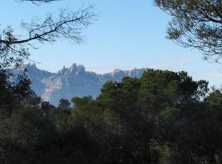 Terrain résidentiel à Carrer torrent del llort 37. Precioso terreno