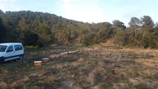 Finca rústica a Carrer de la tarongina 10. Terreny rústic amb pou d’aigua a santa susanna
