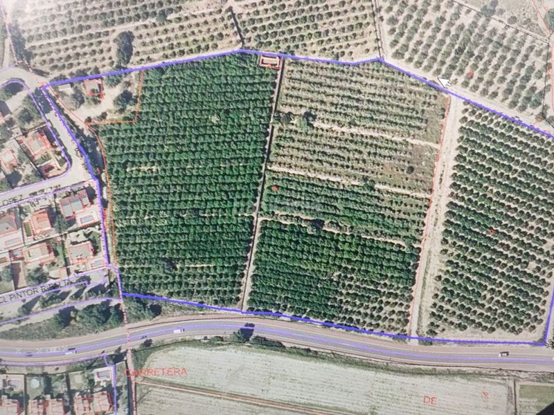 Foto a9343a27-3e29-4a75-aa21-d6d39cd1ac1b. Finca rústica a cv-315 15 a La Loma-Las Lomas Náquera