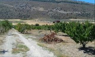 Propriété à Plaza puente 3. Parcela alfarnate ganga
