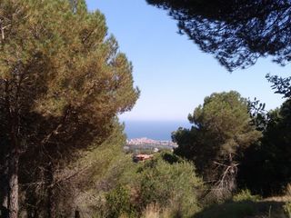Wohngrundstück in Carrer pau picasso, s/n. Terreno en alella parc