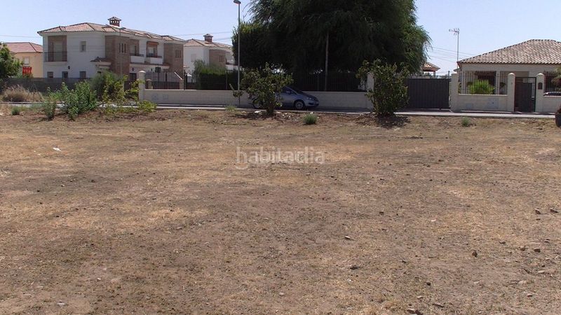 Foto 0bd8bb5b-ceda-4e0b-83e2-9854a90646d7. Wohngrundstück in calle la gran carlota 96 in Carlota (La)