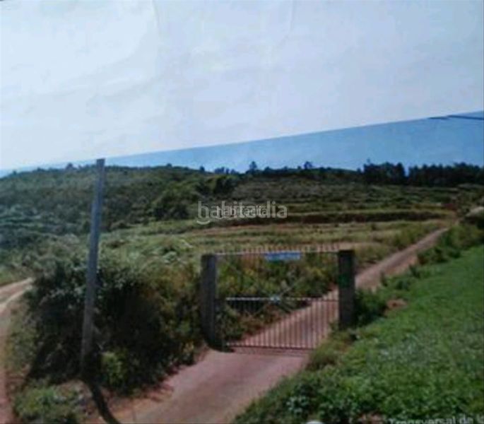 Foto 10f0fc11-2e58-4b5f-91c5-e56b9cc752d7. Finca rústica a carretera la corona 54a a Icod El Alto Realejos (Los)