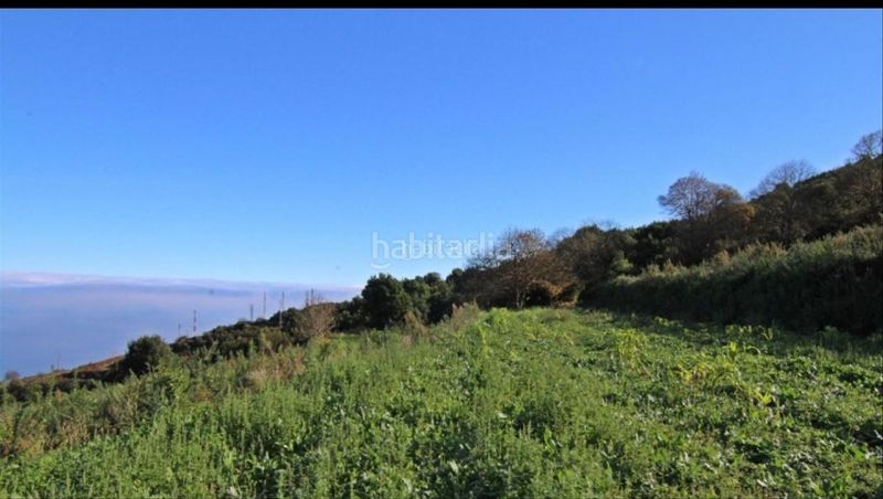 Foto 662f1928-a278-48ba-b074-0318d3191329. Finca rústica a carretera la corona 54a a Icod El Alto Realejos (Los)