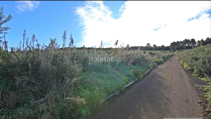 Foto e03c729f-9ef0-4cc0-8f20-7d09d836d6d4. Finca rústica a carretera la corona 54a a Icod El Alto Realejos (Los)