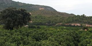 Rural plot in Valle de forna (alicante),. Finca rustica