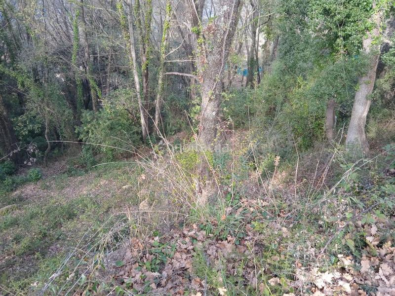 Foto 2b19912b-693a-43d1-ac9c-7431e83a9b48. Residential plot in avinguda catalunya 29 in Porqueres