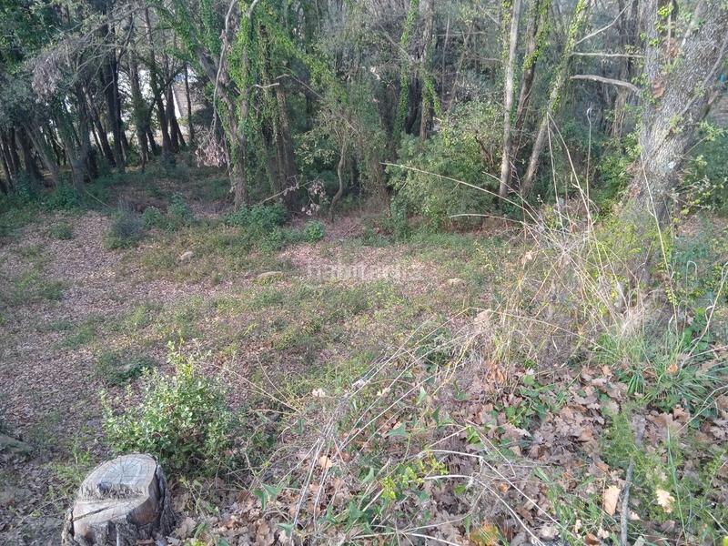 Foto 37ea39ad-83c7-42df-9b89-b6b05768bf28. Residential plot in avinguda catalunya 29 in Porqueres