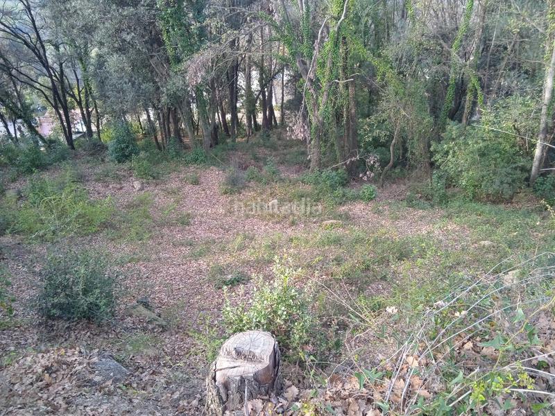 Foto 4154e17e-bad8-431c-9487-474d9fa9f201. Residential plot in avinguda catalunya 29 in Porqueres