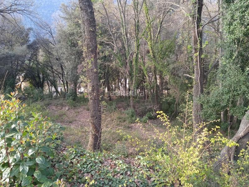 Foto 4995d90c-77e5-4061-9cc1-196867d2e196. Residential plot in avinguda catalunya 29 in Porqueres