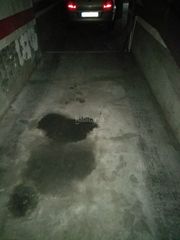Lloguer Aparcament cotxe a Carrer de joan torras 47. Alquiler plaza doble para  dos coches medianos
